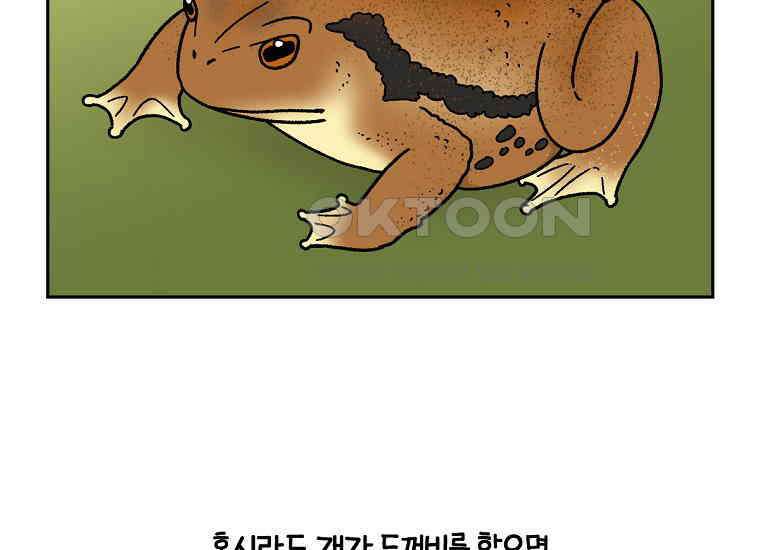 극한견주 시즌2 25화 뜻밖의 동물 친구들 47