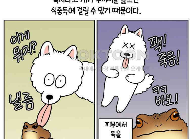 극한견주 시즌2 25화 뜻밖의 동물 친구들 48