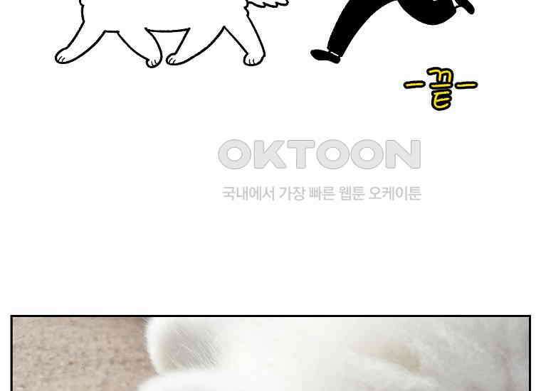 극한견주 시즌2 25화 뜻밖의 동물 친구들 52