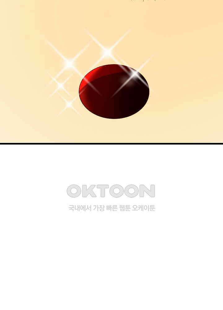 혼돈의 연단사 263 33