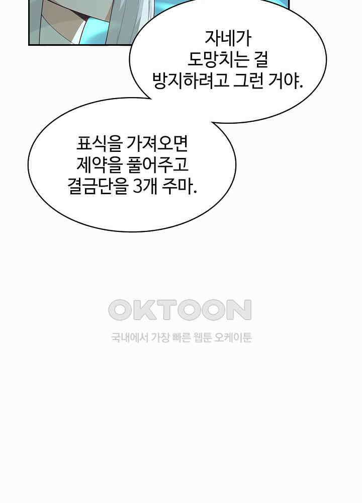 혼돈의 연단사 268 22