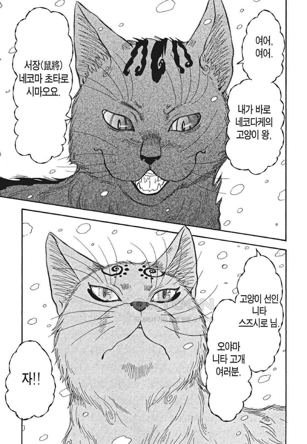 고양이화가 주베의 기묘한 이야기 81화 4