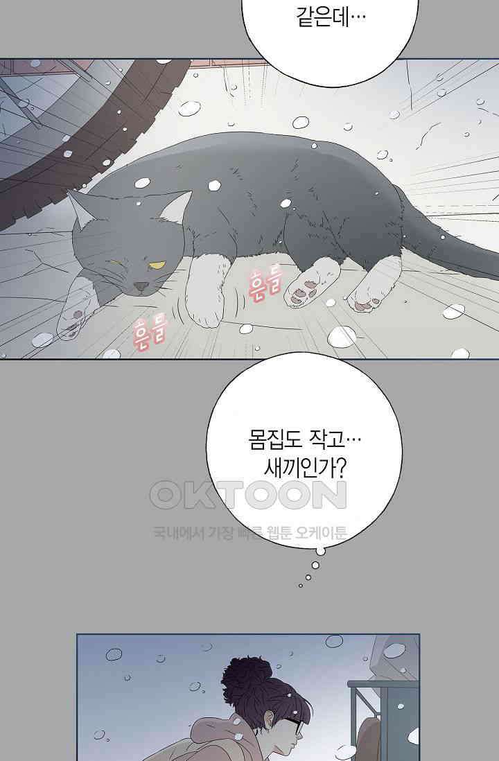 기적이 필요해! 2화 6