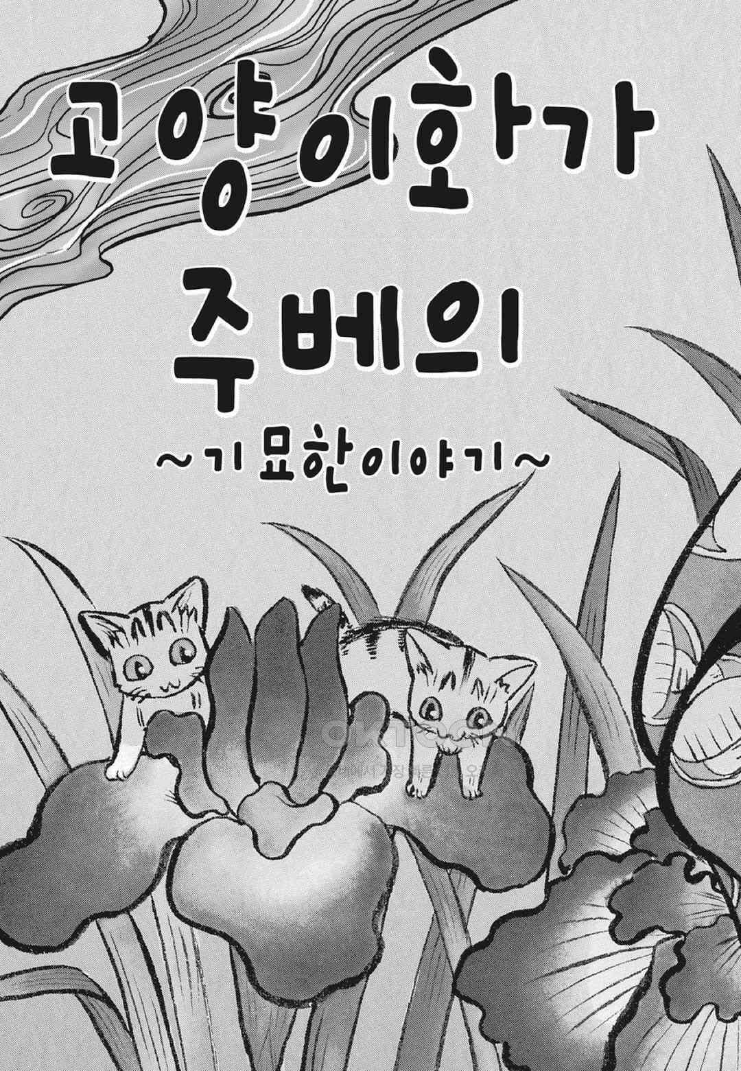 고양이화가 주베의 기묘한 이야기 161화 8