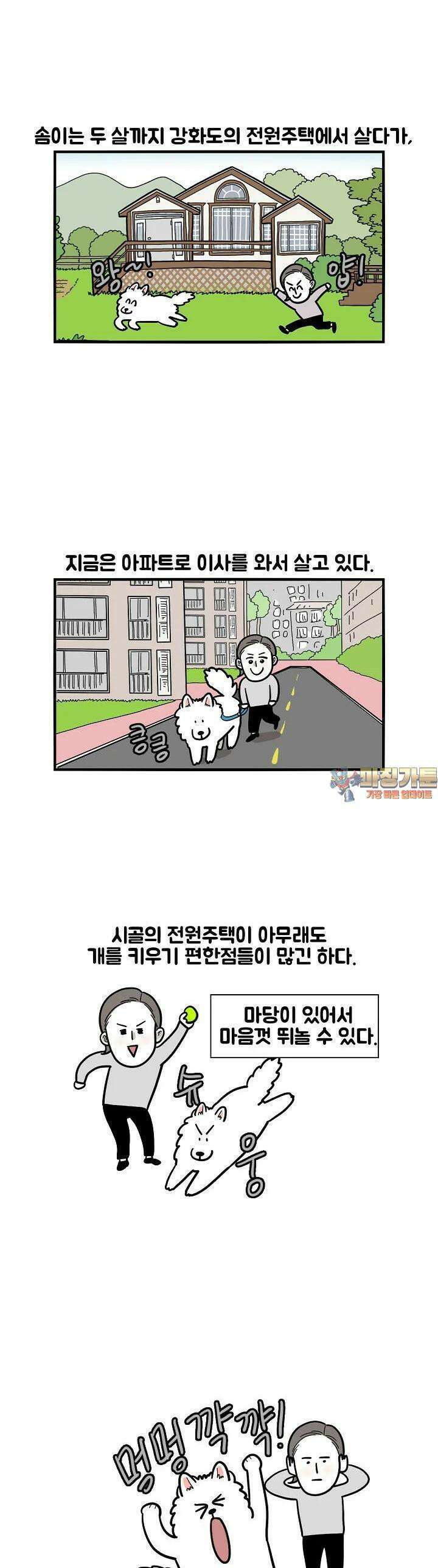 극한견주 40화 아파트 1