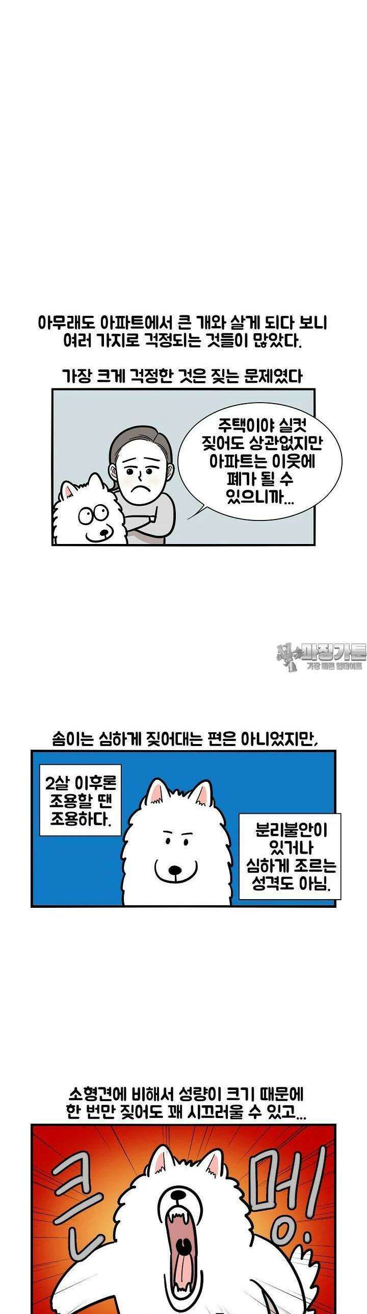 극한견주 40화 아파트 4