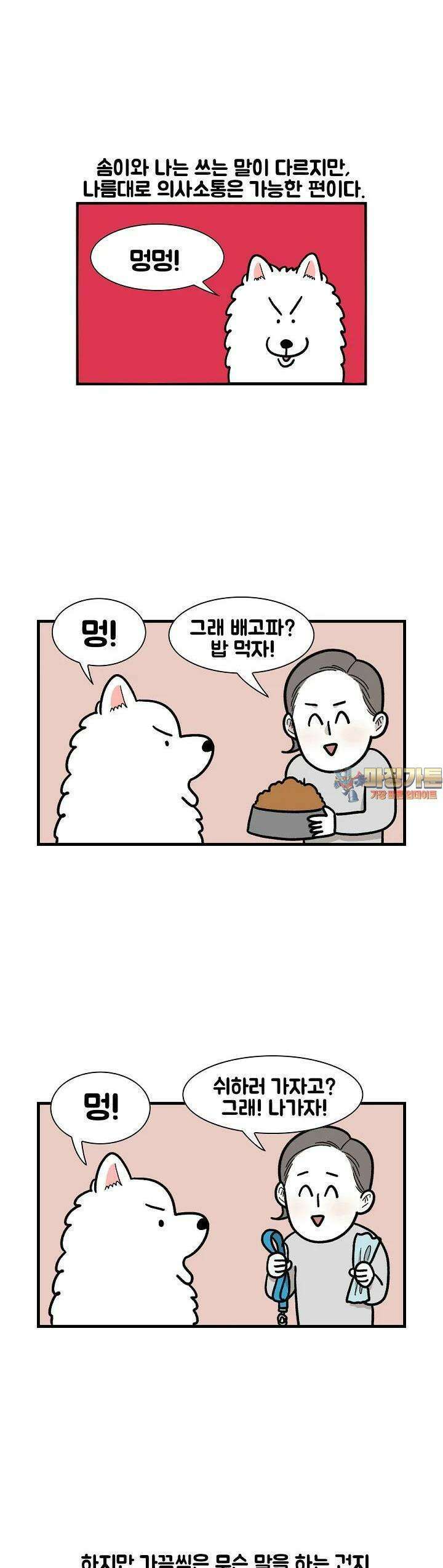 극한견주 46화 언어장벽 1