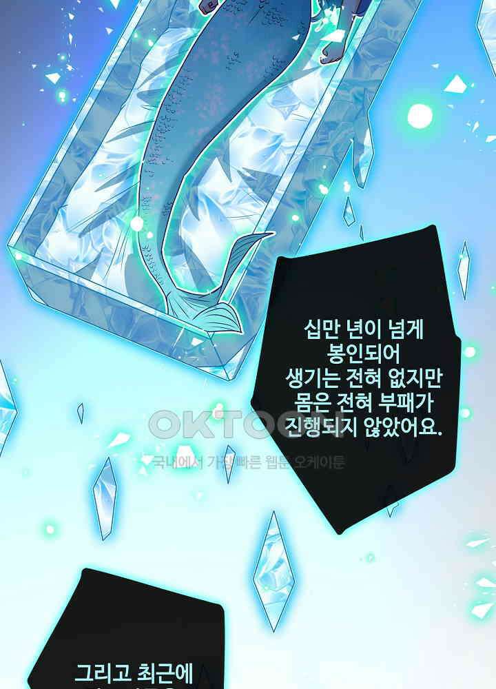 광비: 뚱보 악녀로 환생한 특수요원 088 5