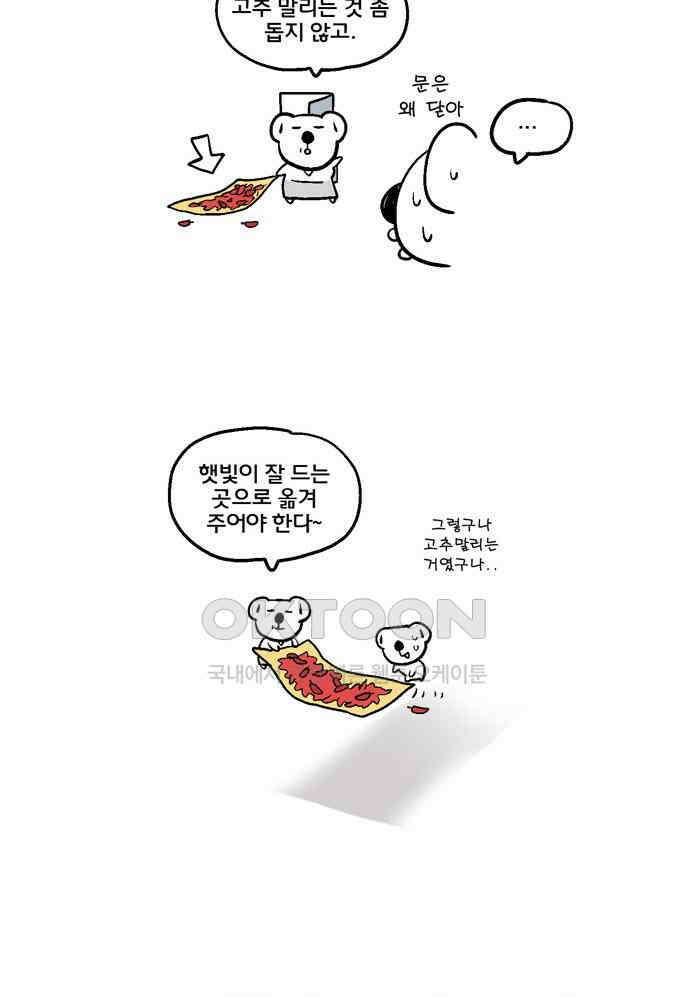 코알랄라 142화 총각김치 4