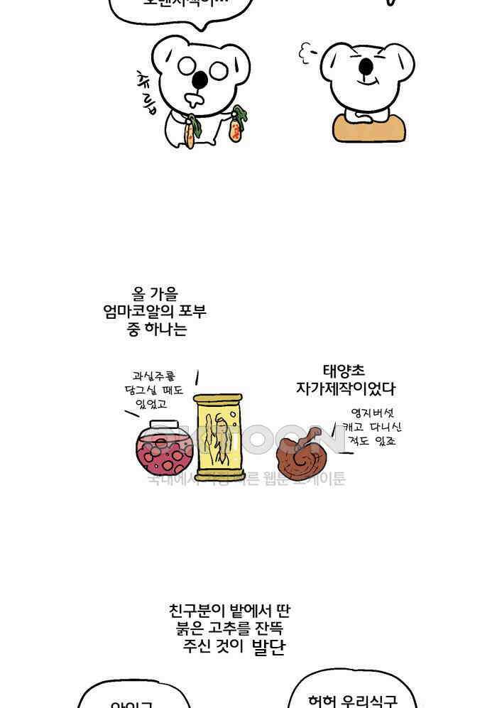 코알랄라 142화 총각김치 6