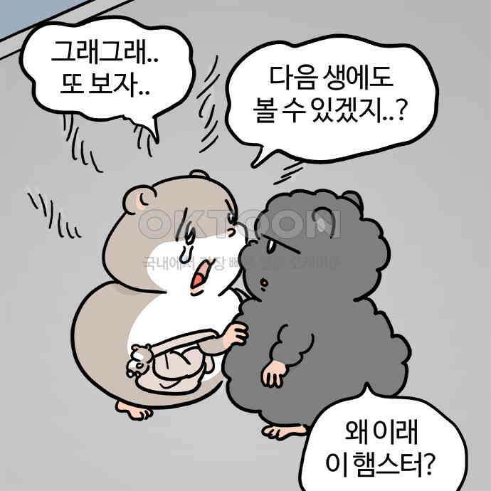 흔한햄 2부 35화 : 그러다 사건이 터졌다 3