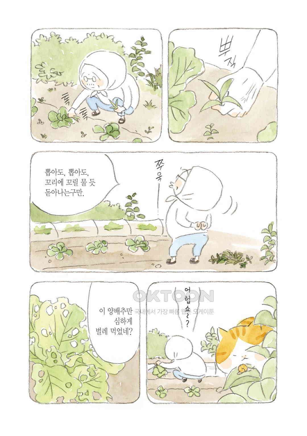 고양이와 할아버지(컬러판) 36화 3