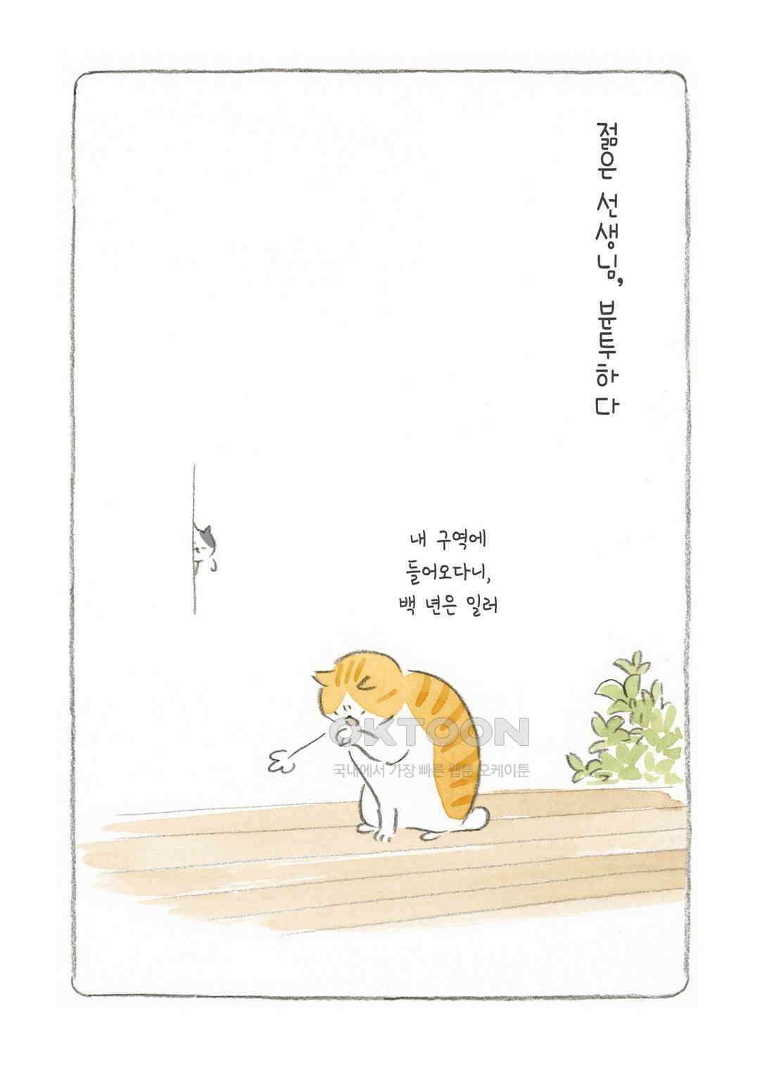 고양이와 할아버지(컬러판) 43화 2