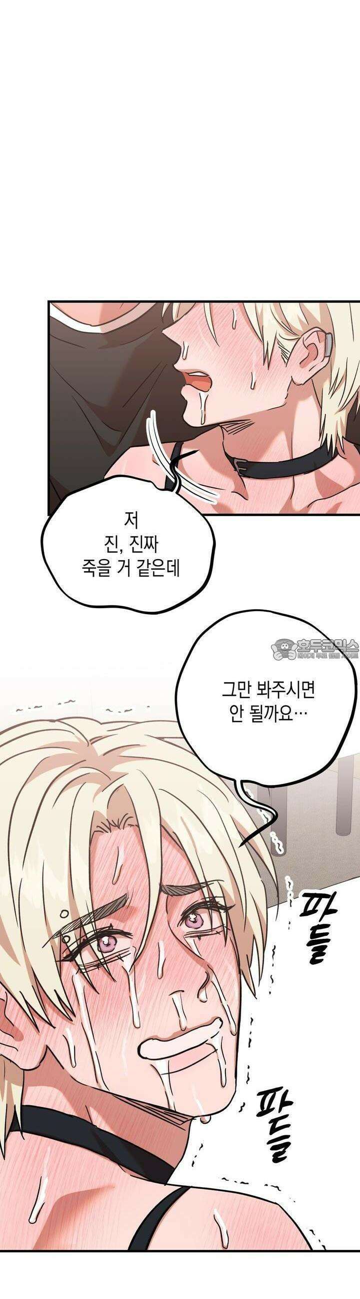현장 검거! 19화  보이스피싱 편 (5) 23