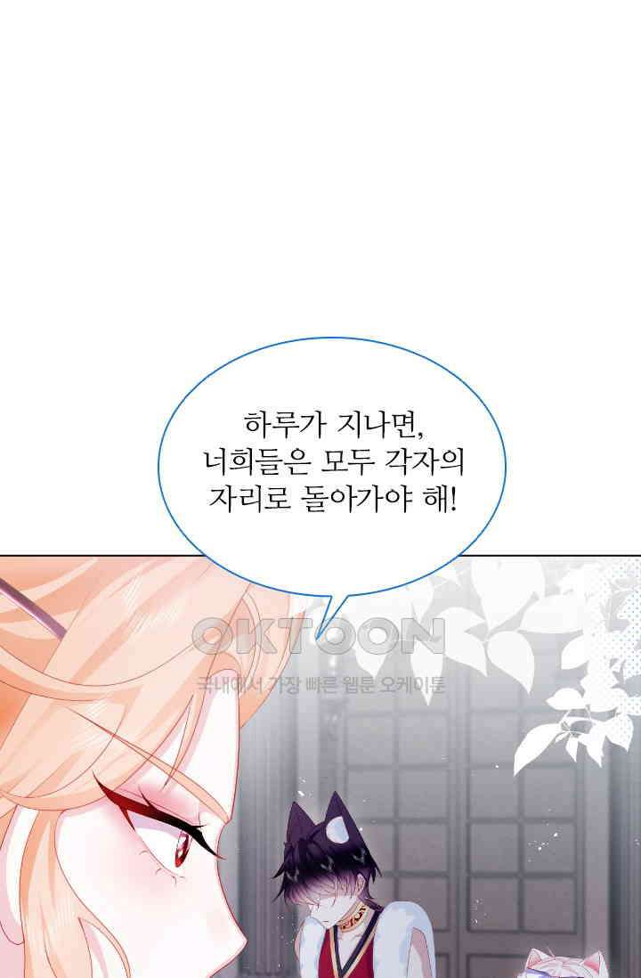 구해주세요, 니니타! 38화 1
