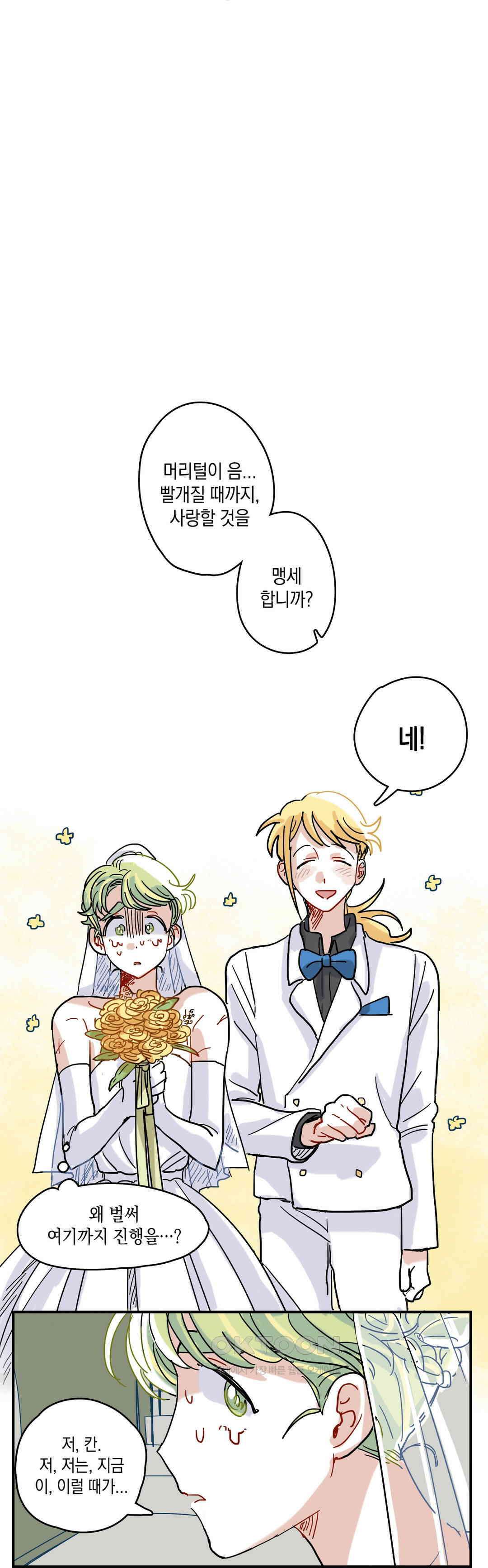 마법사와 춤을 16． 황금 유령선(하) 9