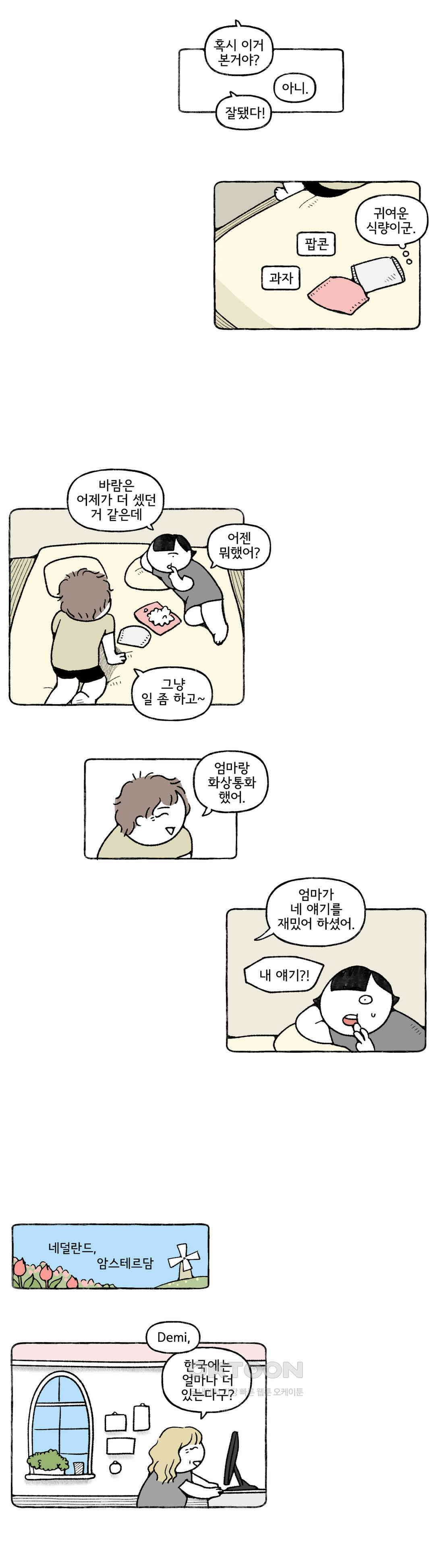 몸만 원해 네덜란드 남 5 11