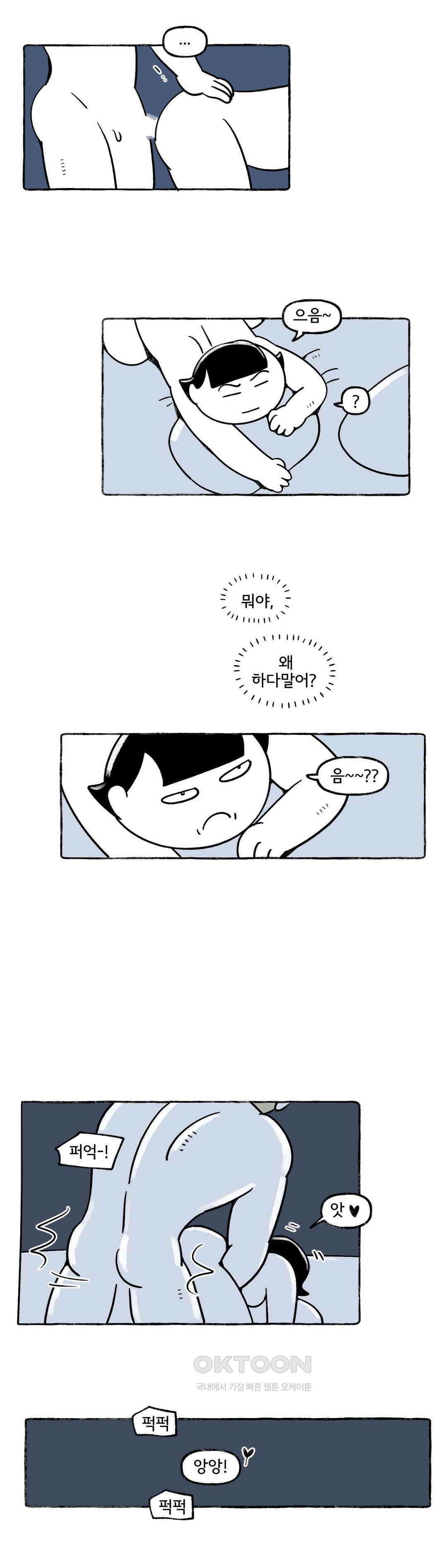 몸만 원해 아메리칸 11 3
