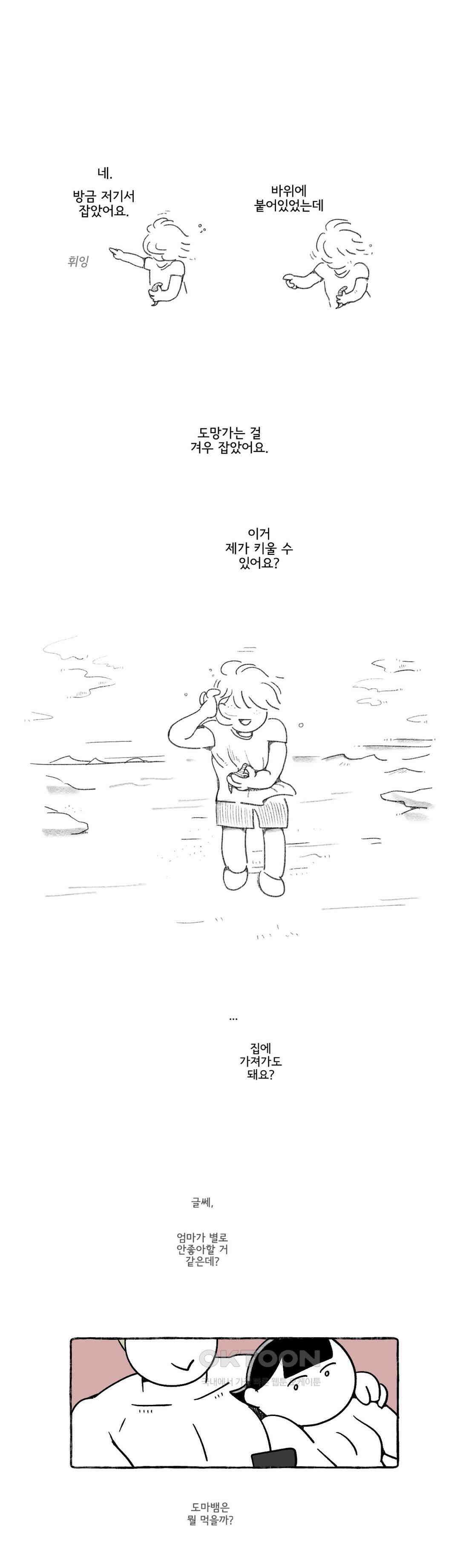 몸만 원해 아메리칸 11 22