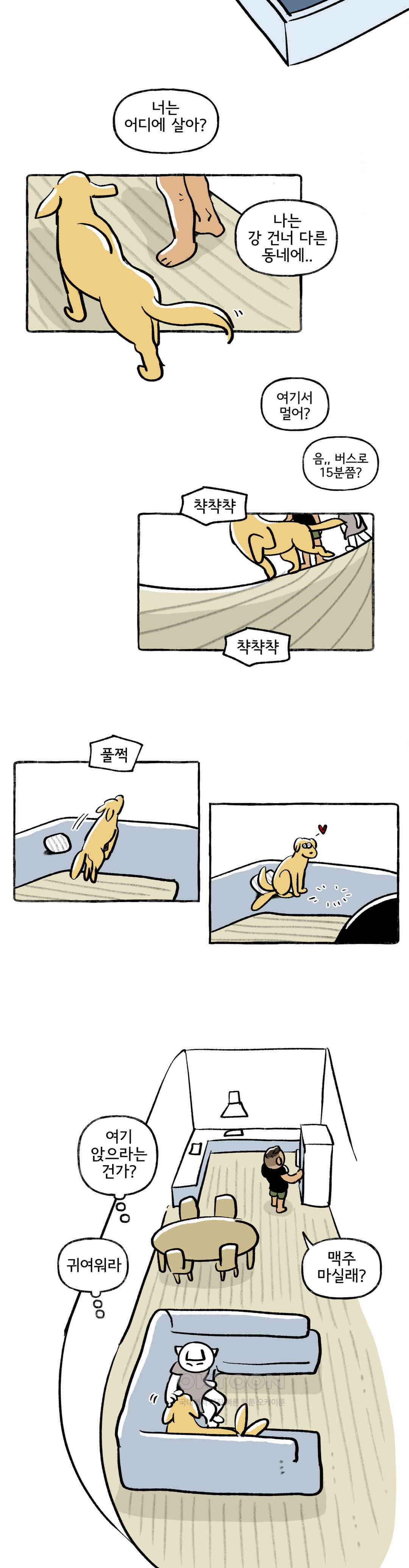 몸만 원해 개들은 알고있다 6