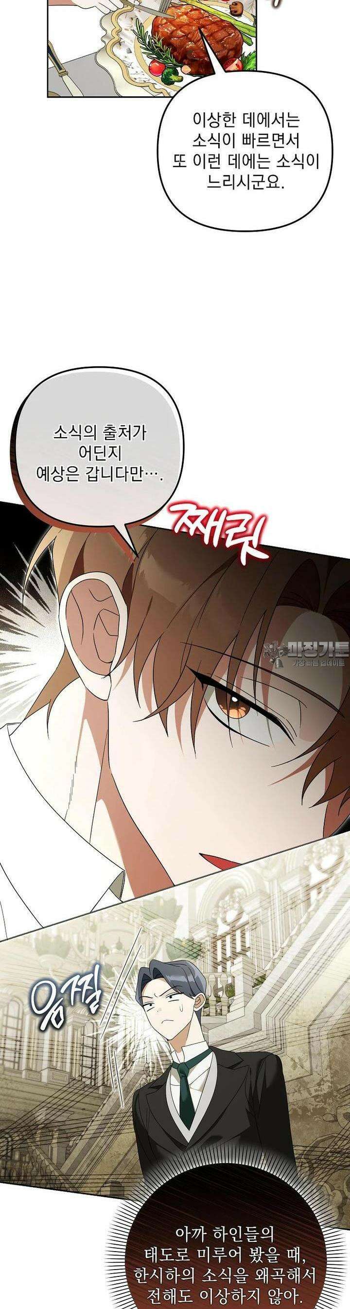 아카데미의 천재 테이머 28화 8