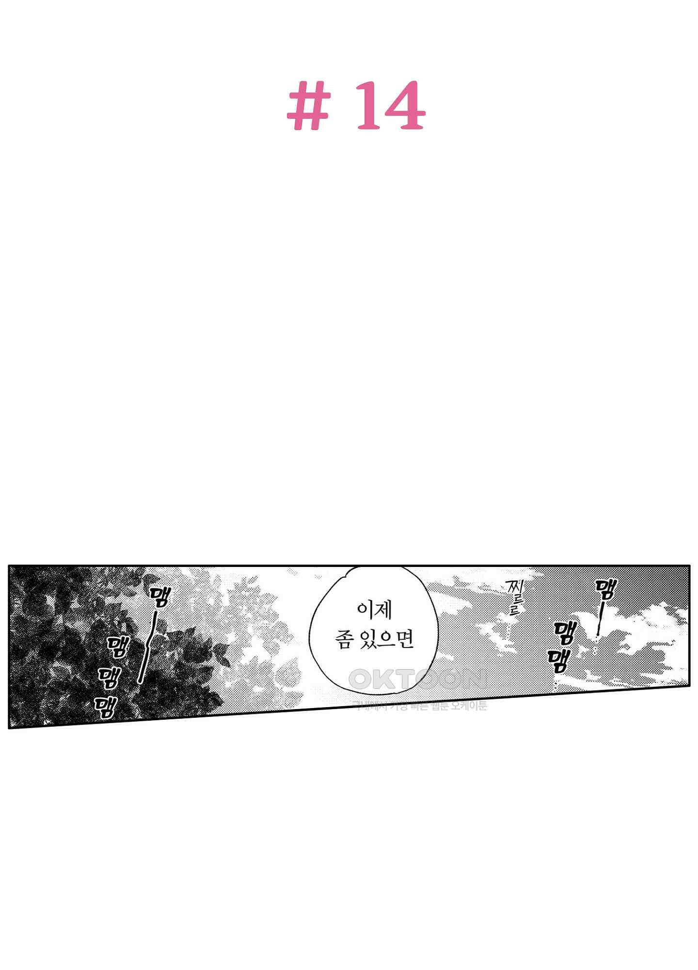 봄을 그리는 꾀꼬리 (신장판) 14화 2