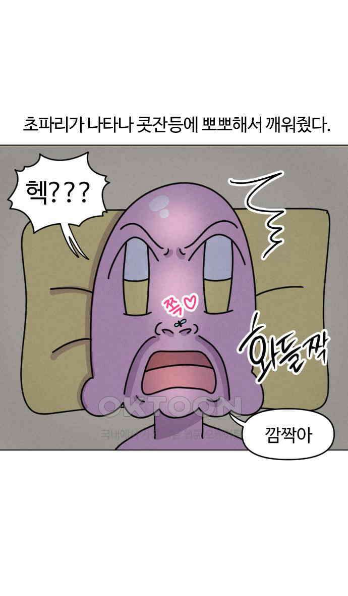 쌉초의 난 51화 초파리 2