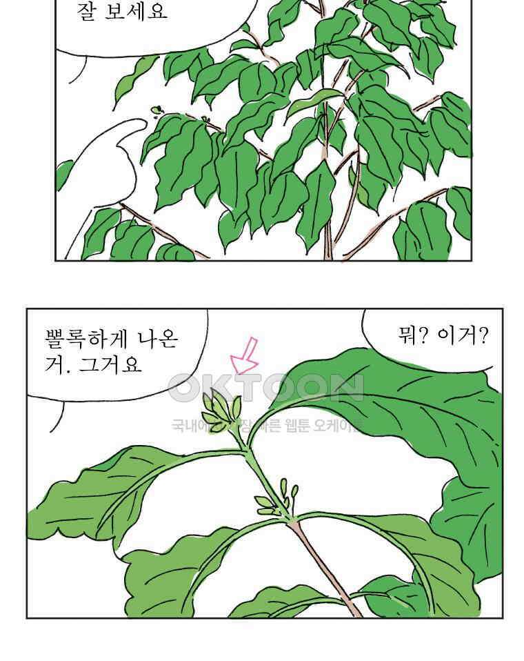 오무라이스 잼잼 309화 나무에서 열리는 아메리카노 4