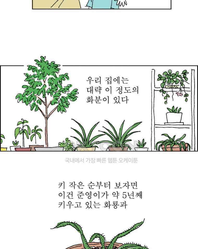 오무라이스 잼잼 309화 나무에서 열리는 아메리카노 6