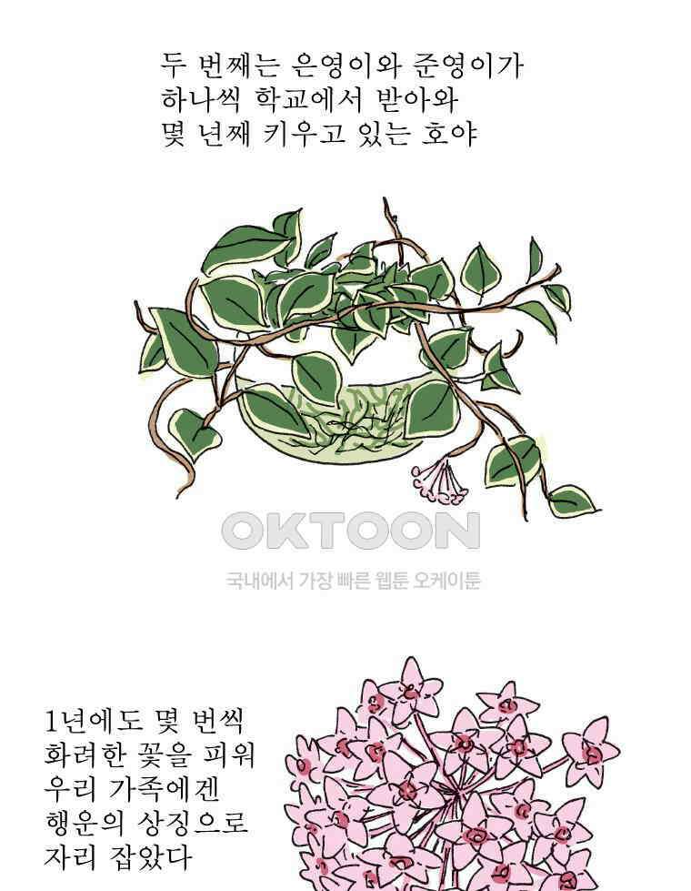 오무라이스 잼잼 309화 나무에서 열리는 아메리카노 8