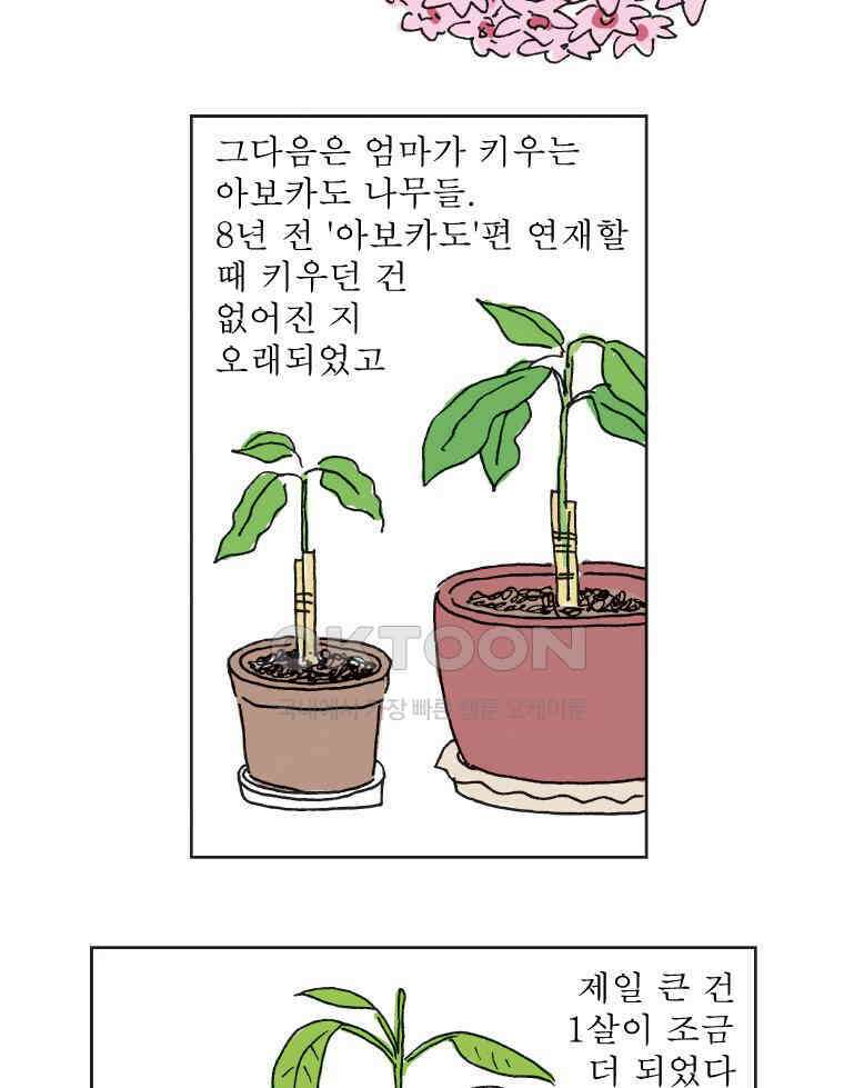 오무라이스 잼잼 309화 나무에서 열리는 아메리카노 9