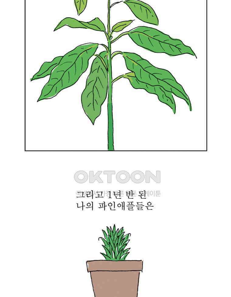 오무라이스 잼잼 309화 나무에서 열리는 아메리카노 10