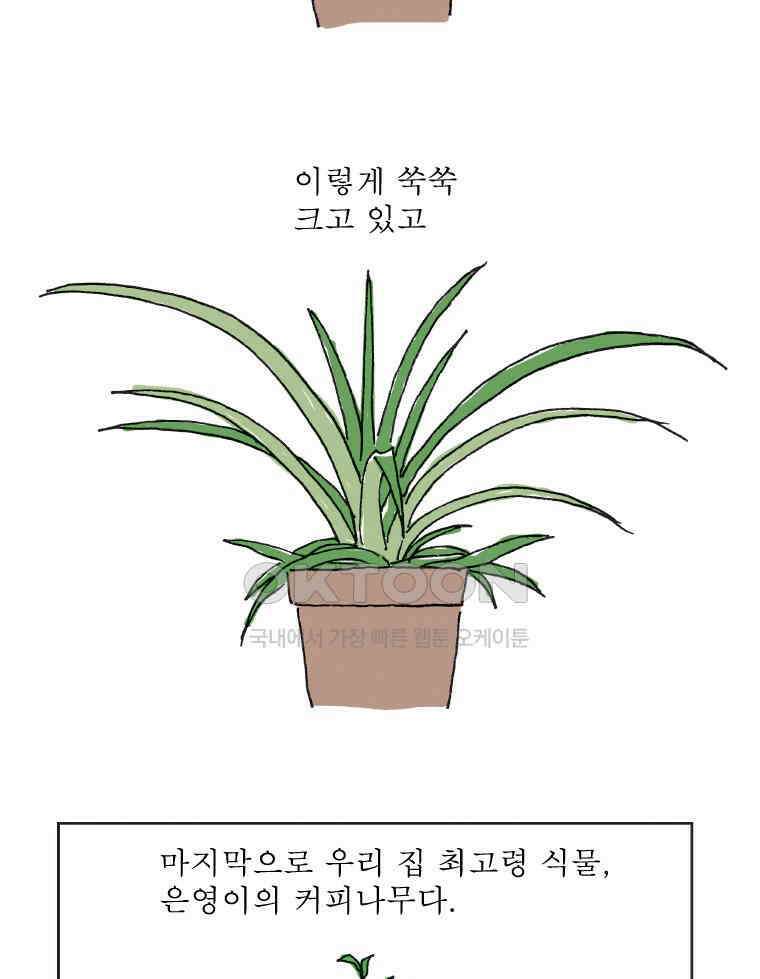 오무라이스 잼잼 309화 나무에서 열리는 아메리카노 11