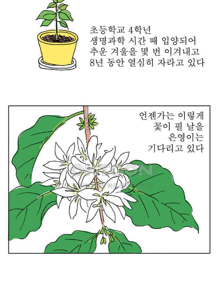 오무라이스 잼잼 309화 나무에서 열리는 아메리카노 13
