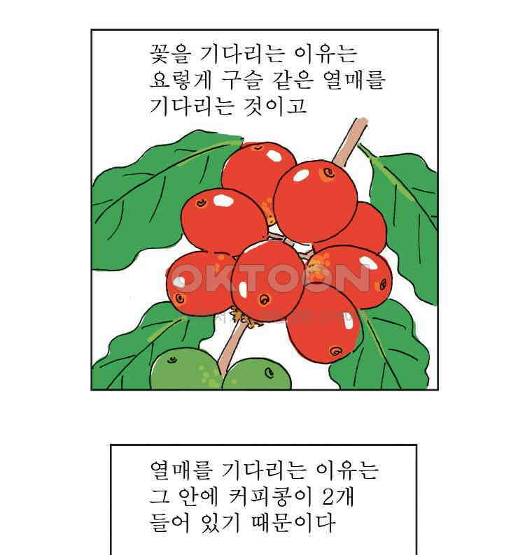 오무라이스 잼잼 309화 나무에서 열리는 아메리카노 14
