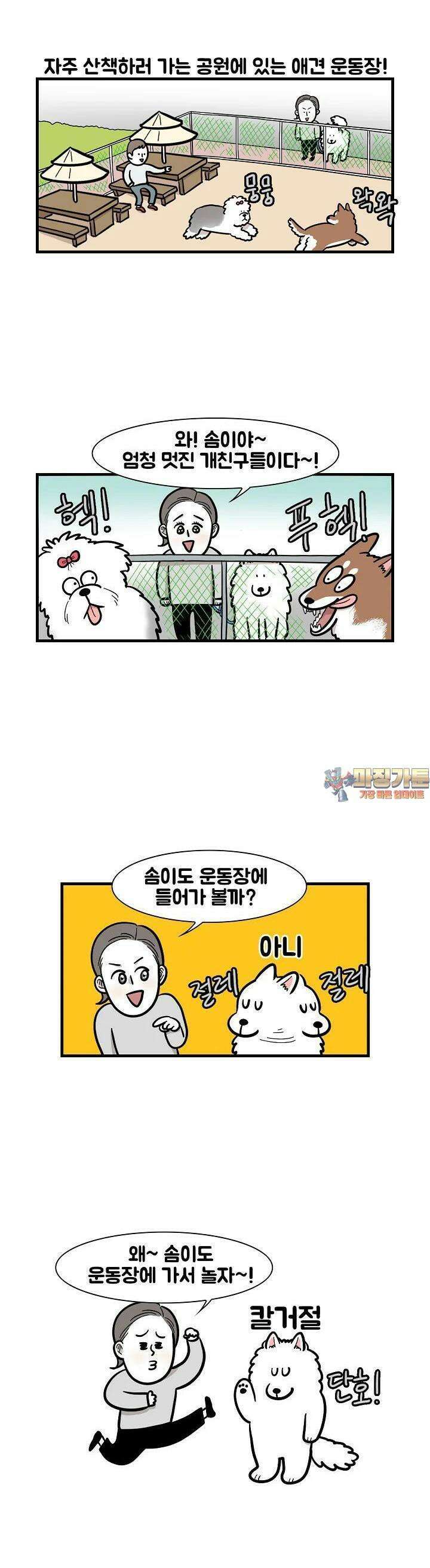 극한견주 55화 애견 운동장 1
