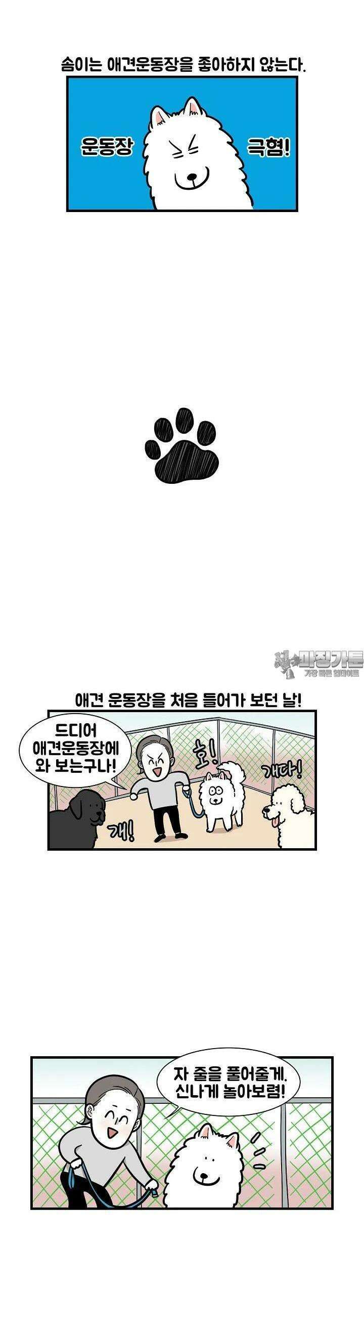 극한견주 55화 애견 운동장 2