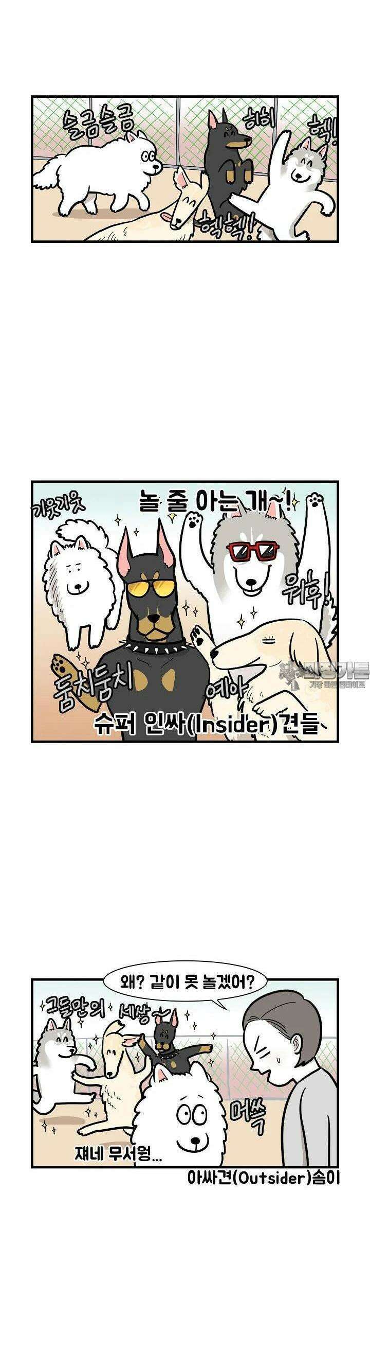극한견주 55화 애견 운동장 3
