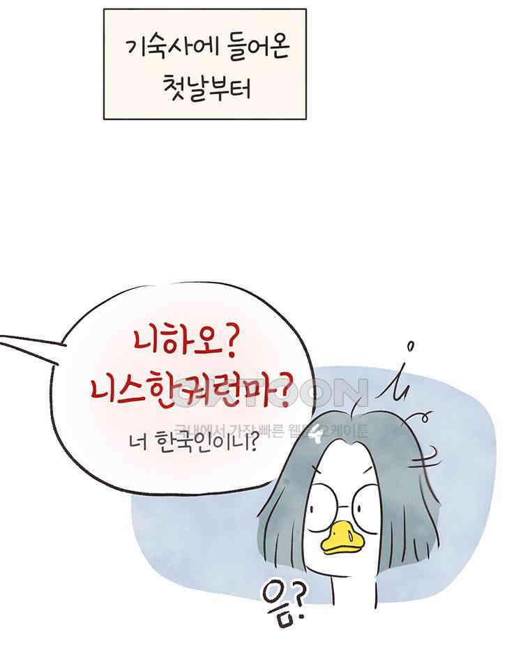 딩스뚱스 276화 동상이몽 유학 일기 12