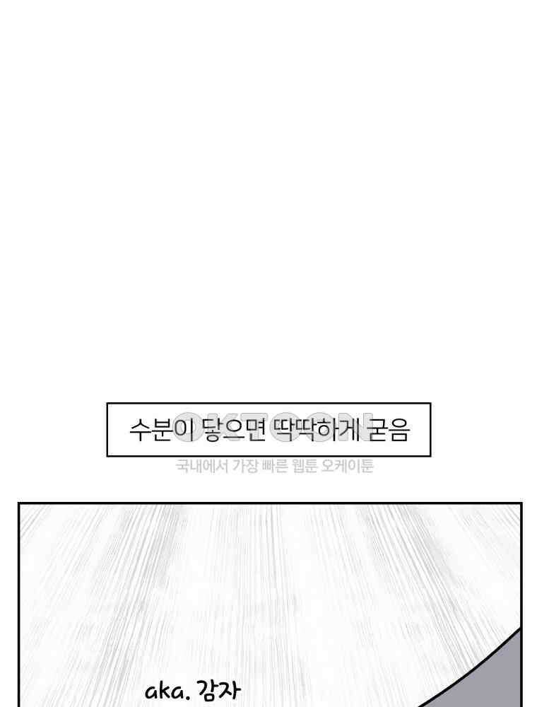 어쩌다 햄스터 22． 모래가 사라졌다 5