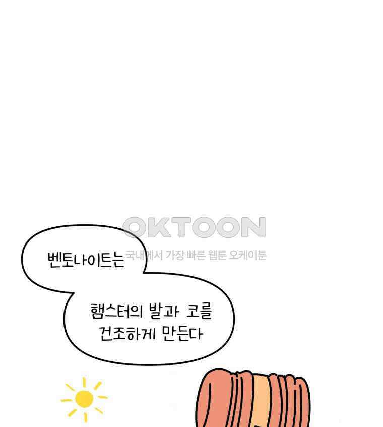 어쩌다 햄스터 22． 모래가 사라졌다 9