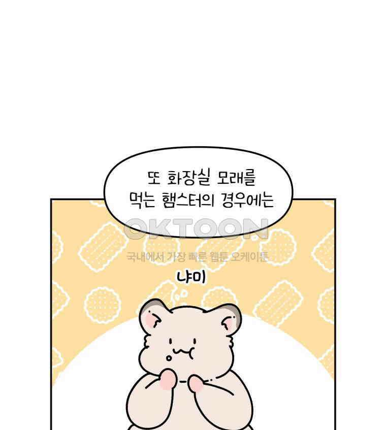 어쩌다 햄스터 22． 모래가 사라졌다 11