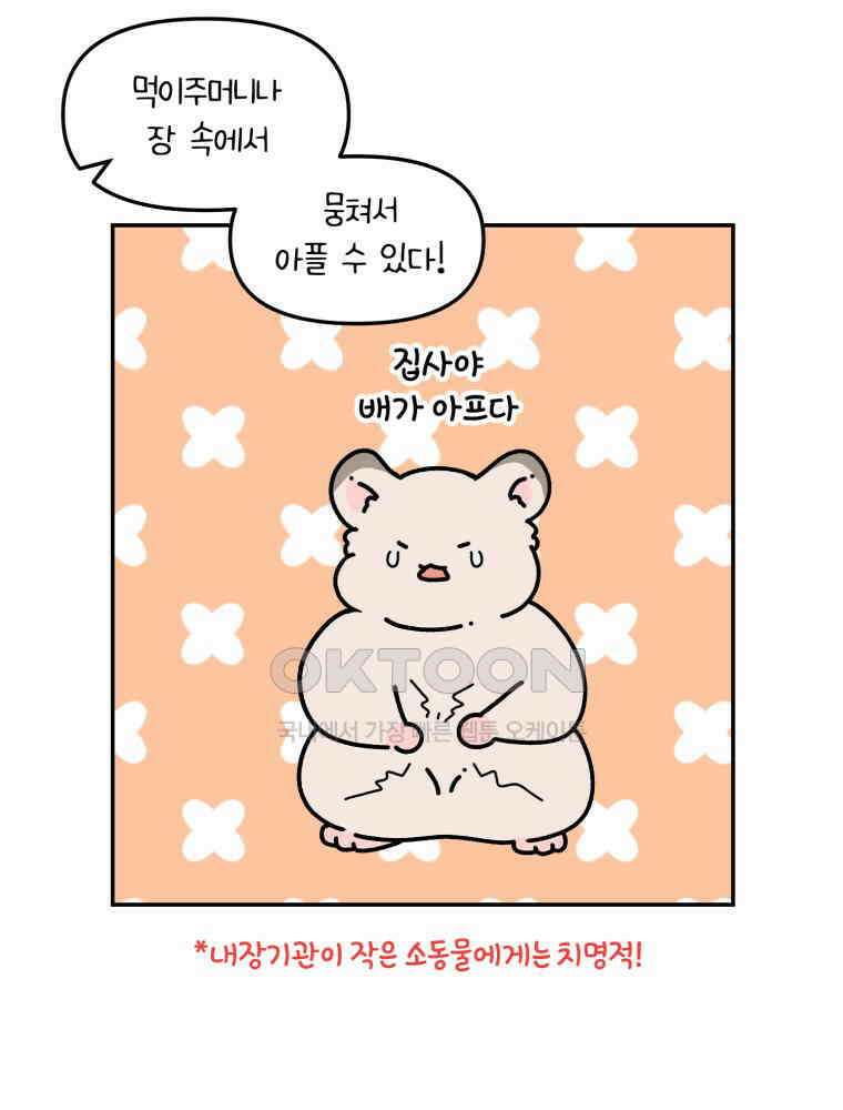 어쩌다 햄스터 22． 모래가 사라졌다 13