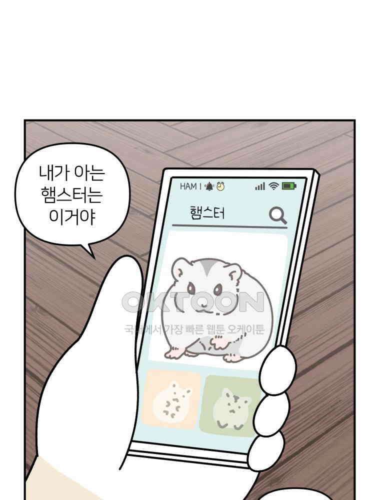 어쩌다 햄스터 33． 큰 햄스터 작은 햄스터 4