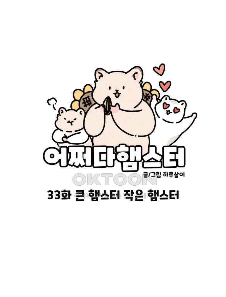 어쩌다 햄스터 33． 큰 햄스터 작은 햄스터 7