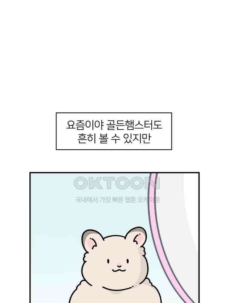 어쩌다 햄스터 33． 큰 햄스터 작은 햄스터 8