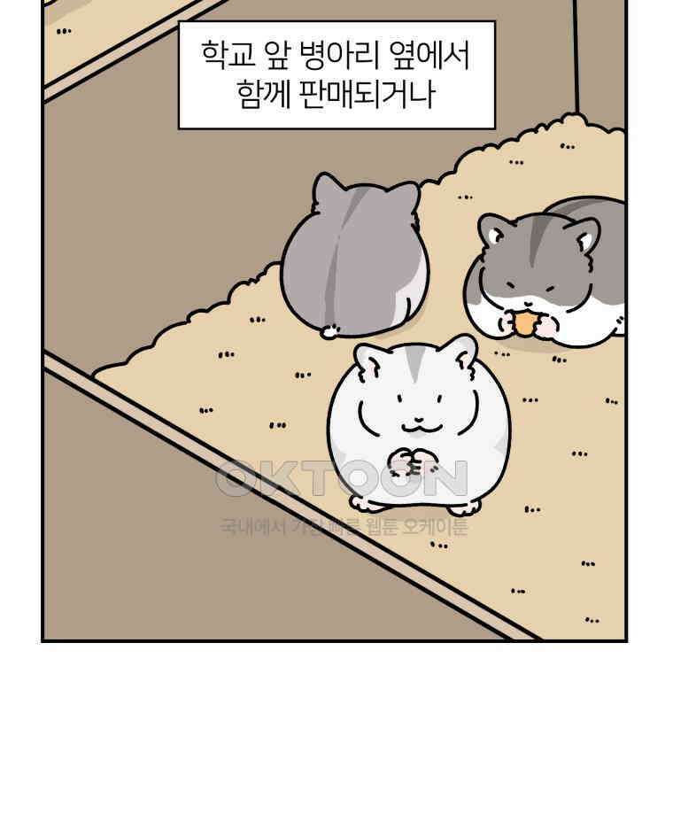 어쩌다 햄스터 33． 큰 햄스터 작은 햄스터 11