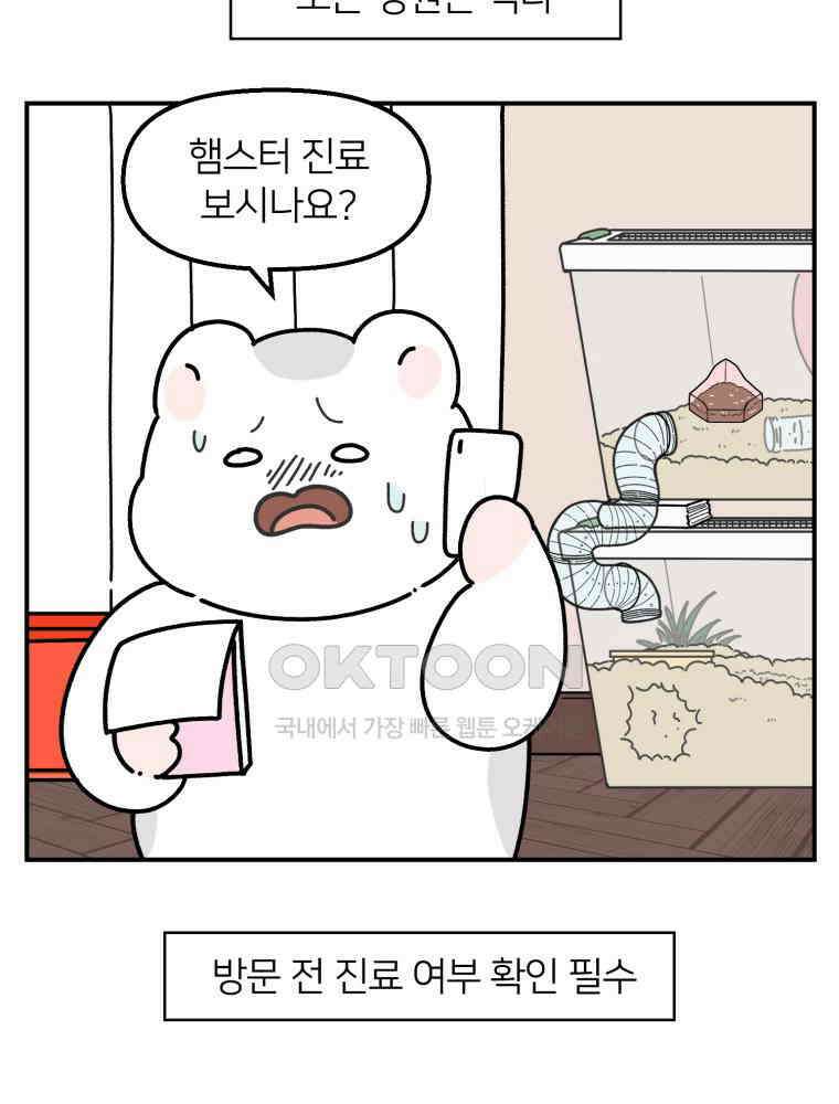 어쩌다 햄스터 37． 시골 햄스터와 병원 6