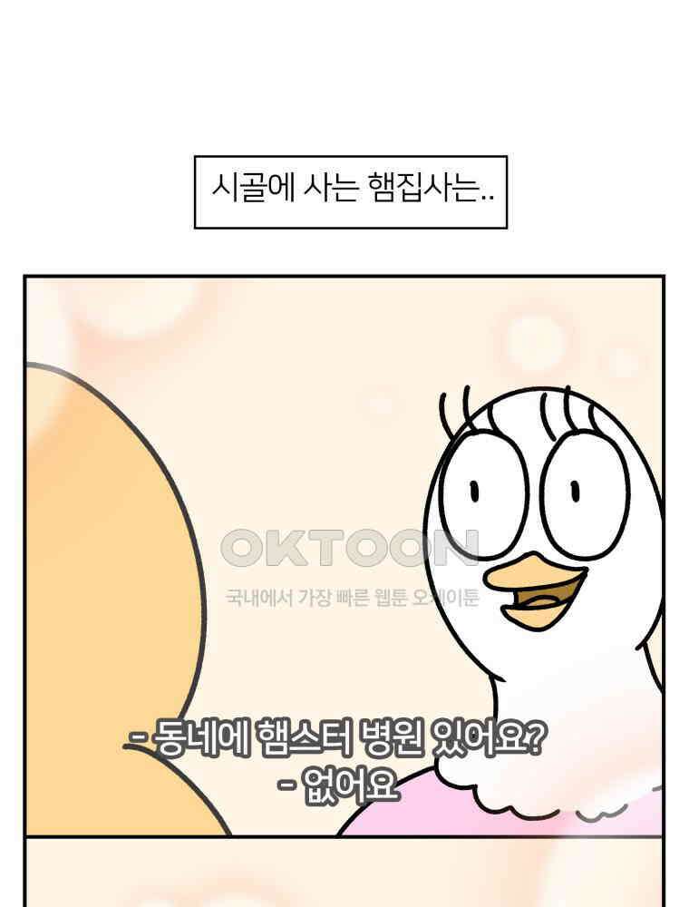 어쩌다 햄스터 37． 시골 햄스터와 병원 9