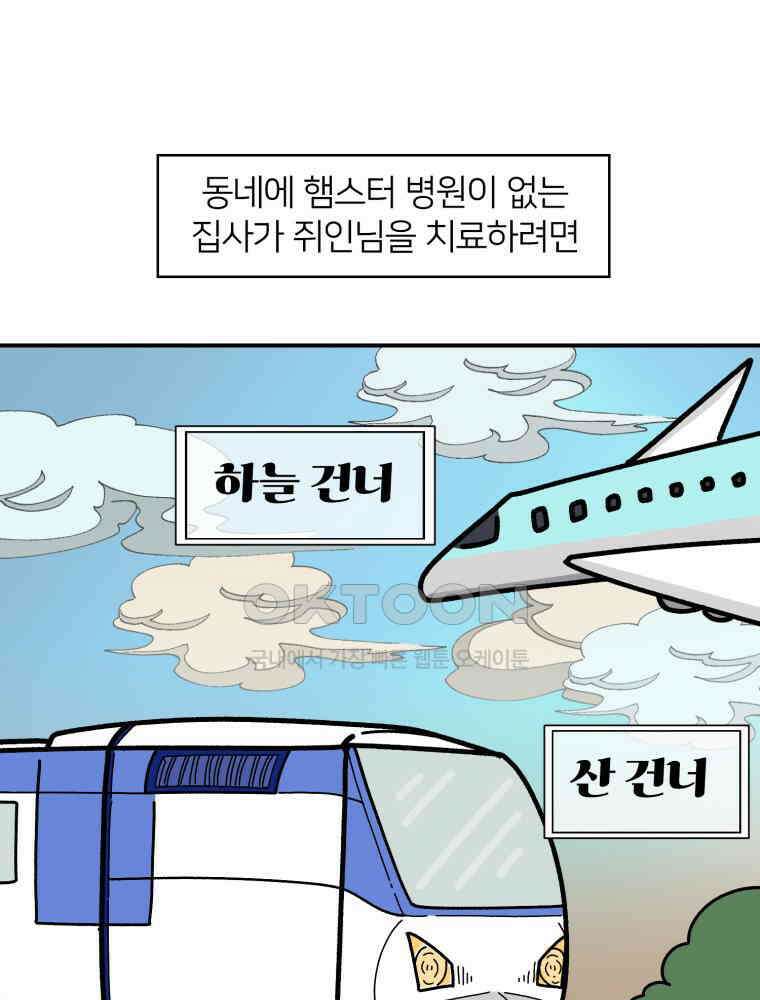 어쩌다 햄스터 37． 시골 햄스터와 병원 11